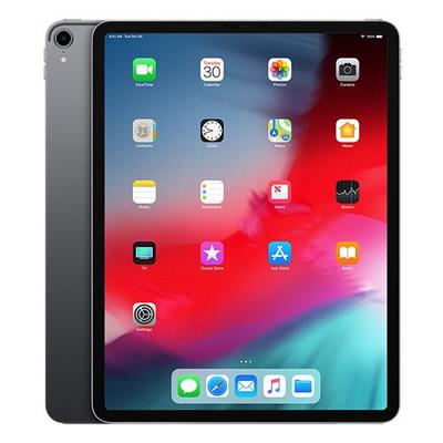 Apple Ipad Pro 12 9 Inch Wi Fi 256gb Space Grey Extra Saudi