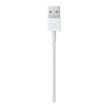 Apple Lightning to USB Charging Cable 1M, White