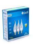 alfanar, LED Candle Promo Pack, 4 Watts, Warm White