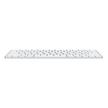 APPLE Magic Keyboard, Arabic