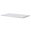 APPLE Magic Keyboard, Arabic