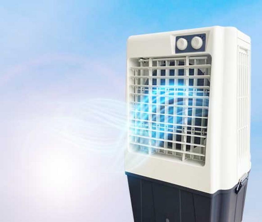 https://media.extra.com/i/aurora/100296579_100_09