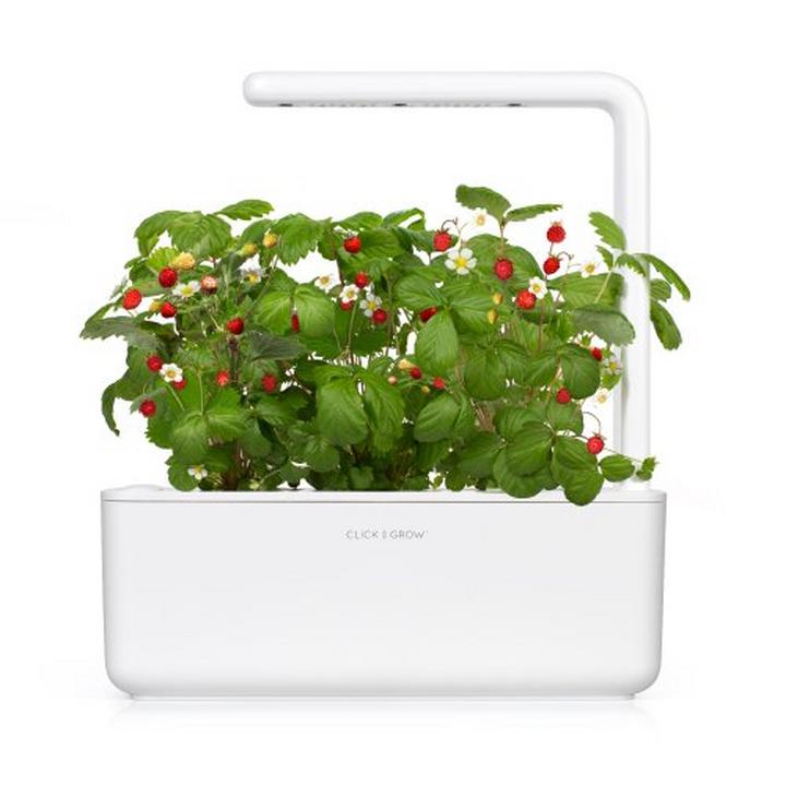 Click & Grow  Smart Garden 3, White