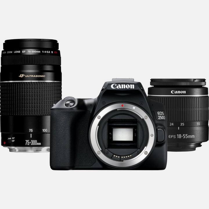 canon 250d megapixels