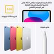 Apple iPad 10th Gen, Wi-Fi, 10.9 inch, 256GB, Pink