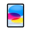 Apple iPad 10th Gen, Wi-Fi+Cellular, 10.9 inch, 64GB, Blue