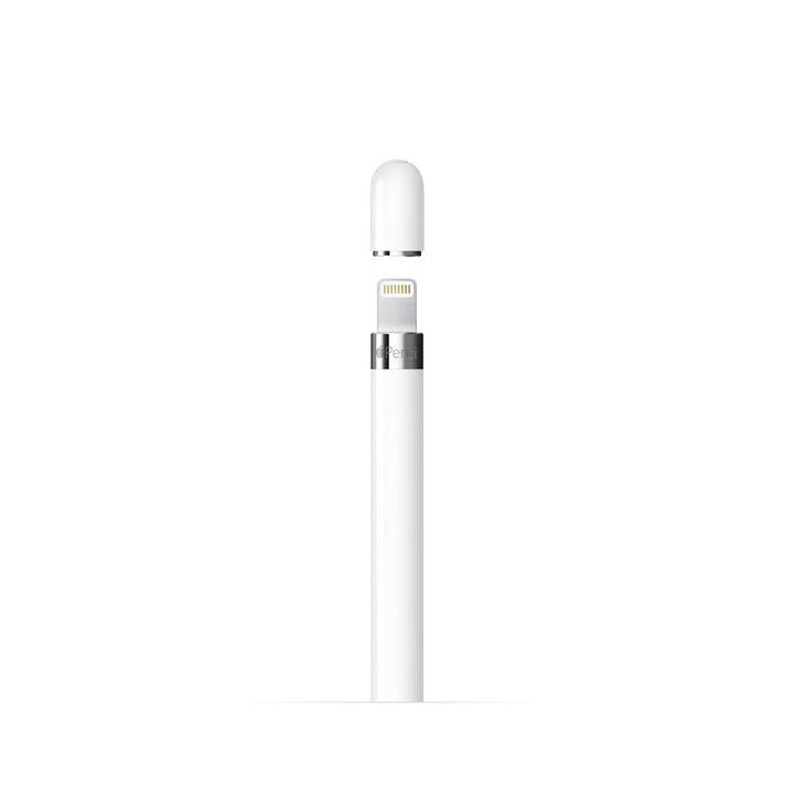 APPLE Pencil 1st Gen 2022, White - eXtra