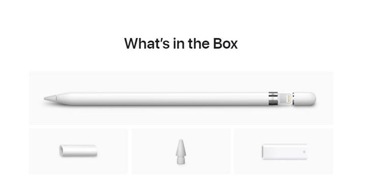 新品　Apple Pencil ホワイト NEW Apple Pencil USB-C White Stylus MUWA3AM/A for iPad