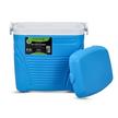 Royalford 8 Ltr Insulated Ice Cooler Box .