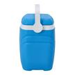 Royalford 8 Ltr Insulated Ice Cooler Box .