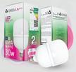 Rafeed Led Jumbo Bulb 30 Watts, Day Light