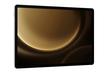 Samsung Galaxy Tab S9 FE Plus, Wi-Fi, 12.4-inch, 256GB, Silver