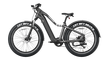 OKAI, Ranger Electric Bike, 70 Km Max Range and 32 Km/H Max Speed, 750w, Black