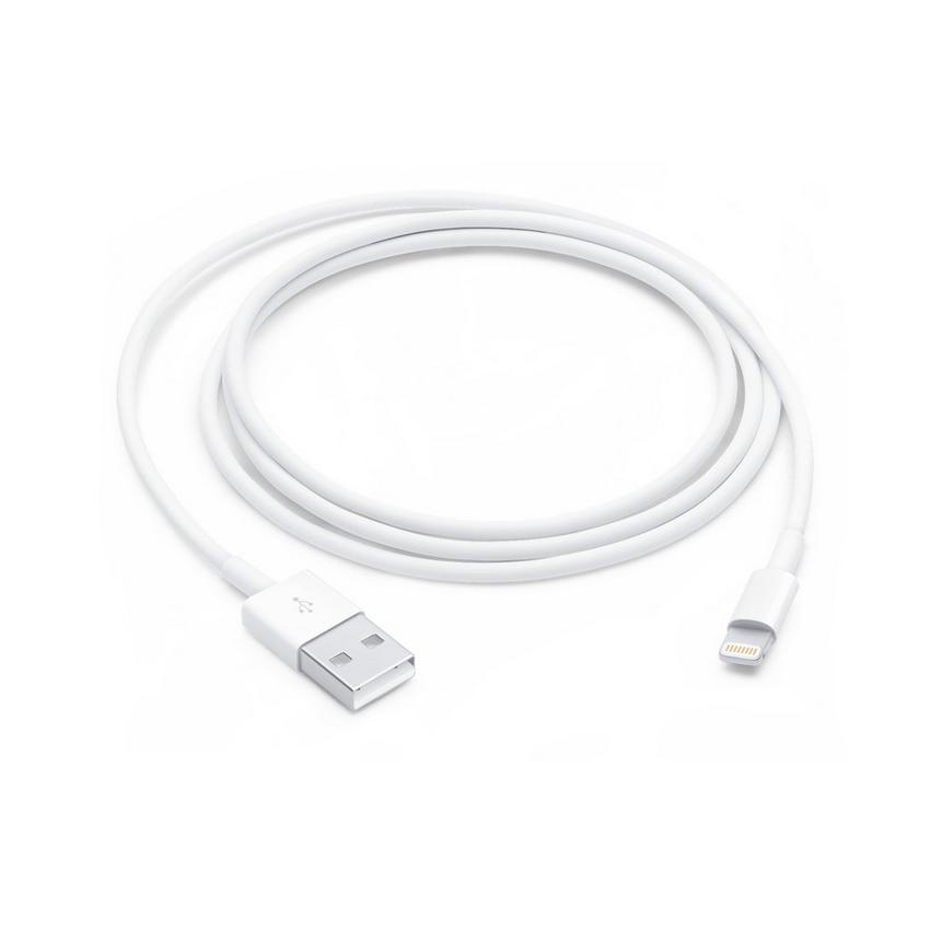 https://media.extra.com/i/aurora/100361634_100_01