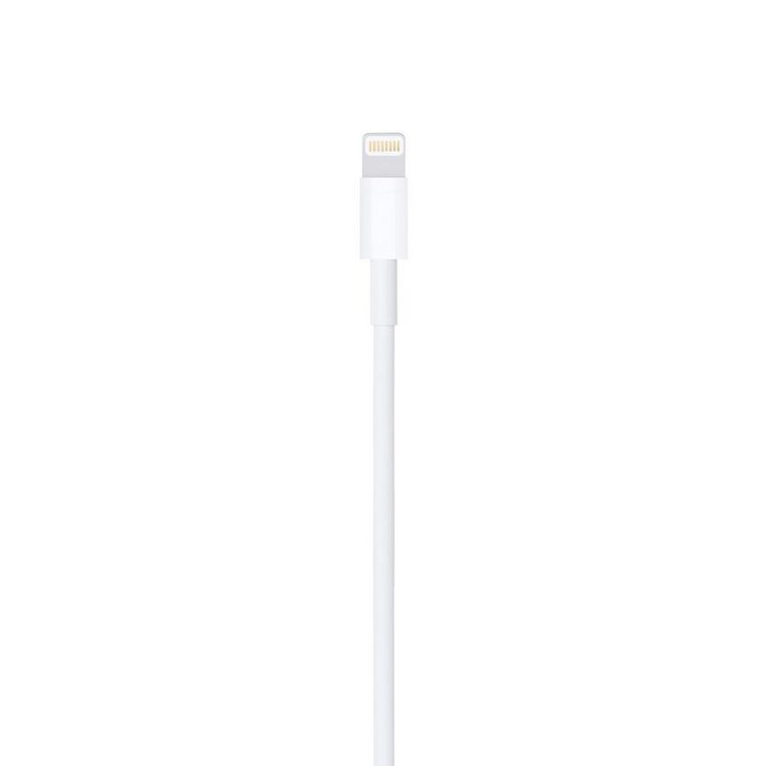 https://media.extra.com/i/aurora/100361634_100_02