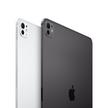 APPLE IPAD PRO 2024, Wi-Fi, 11 INCH, 256 GB, SPACE BLACK