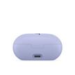 Apple Beats Solo Buds True Wireless Earbuds,Arctic Purple