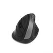 Dicota RELAX Ergonomic Wireless Optical Mouse 2.4GHz 1600dpi Black
