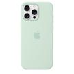 Apple iPhone 16 Pro Silicone Case with MagSafe , Aquamarine