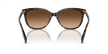 Coach ,Sunglasses,Acetate, Women, Dark Tortoise
