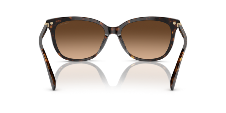 Coach ,Sunglasses,Acetate, Women, Dark Tortoise