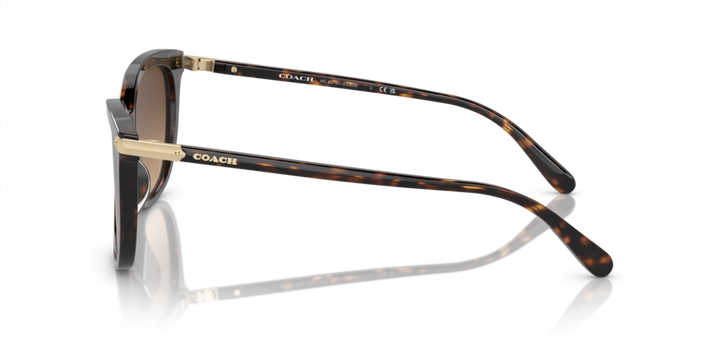 Coach ,Sunglasses,Acetate, Women, Dark Tortoise
