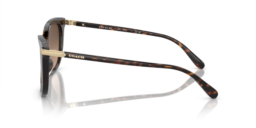 https://media.extra.com/i/aurora/100387768_100_03