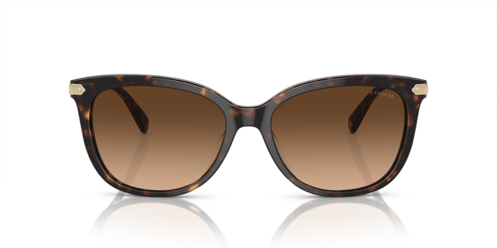 Coach ,Sunglasses,Acetate, Women, Dark Tortoise