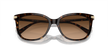 Coach ,Sunglasses,Acetate, Women, Dark Tortoise