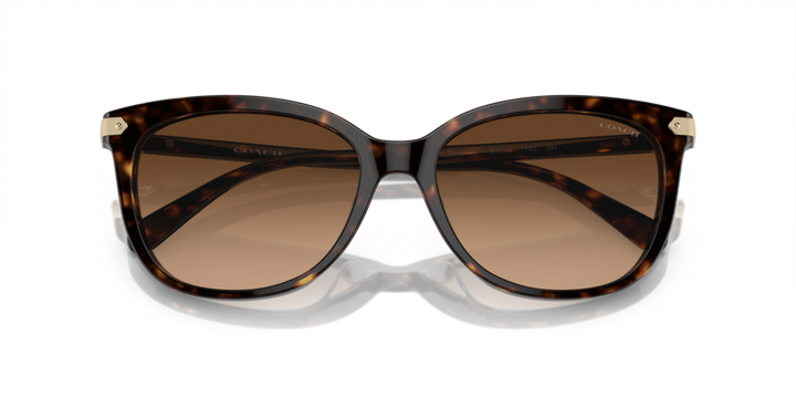 Coach ,Sunglasses,Acetate, Women, Dark Tortoise
