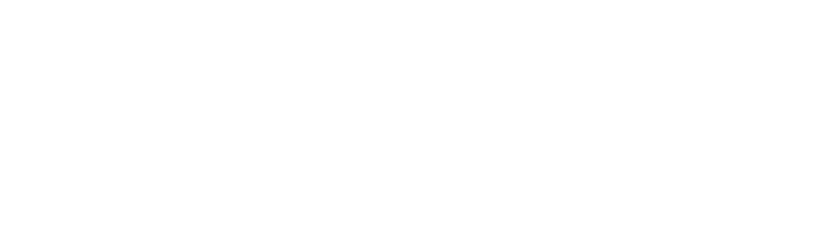 Spotify Premium Logo