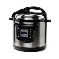 Palson Pressure Cooker