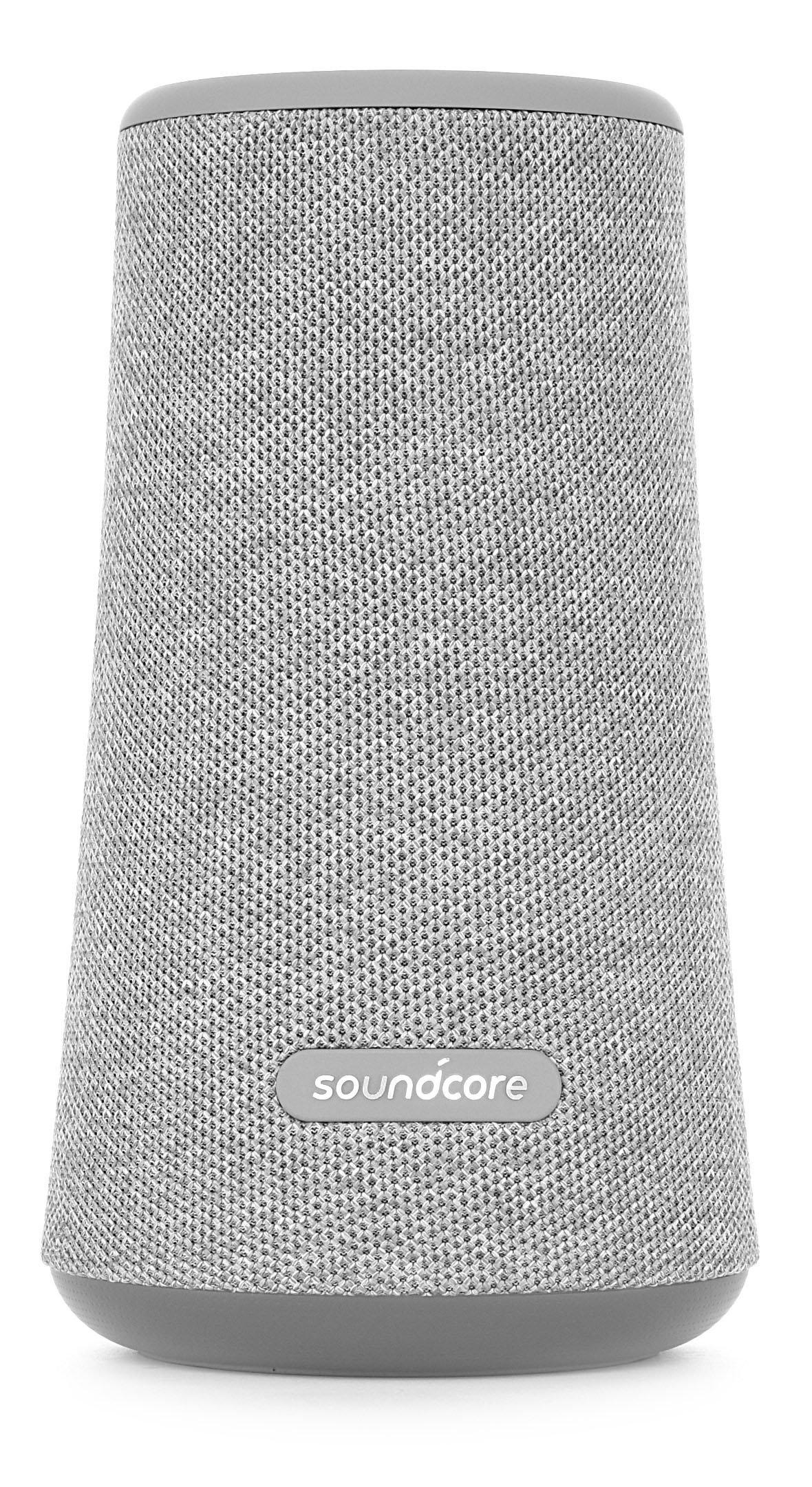 flare plus speaker