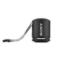Sony Extra Bass Portable Wireless Speaker, Black