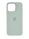 Apple iPhone 14 Pro Max Silicone Case with MagSafe ,Succulent