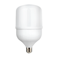 Rafeed Led Jumbo Bulb 50 Watts, Warm White