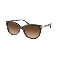 Coach ,Sunglasses,Acetate, Women, Dark Tortoise