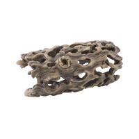 Exo Terra Cholla Cactus Skeleton, Small