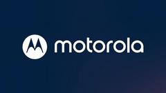 https://media.extra.com/v/aurora/100096640_300_01