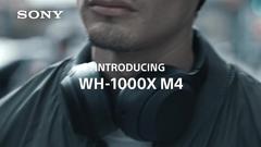 https://media.extra.com/v/aurora/100190940_300_02