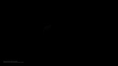 https://media.extra.com/v/aurora/100230851_300_02